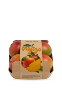 vr-print-footer-product-mango-02
