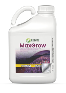 vr-print-maxgrow-footer-04